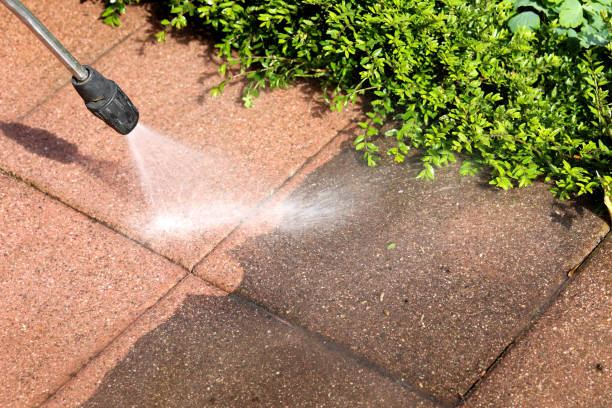Best Pressure Washing Services Near Me  in Montclair, CA
